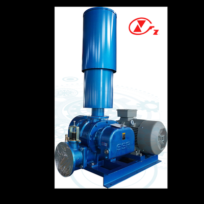 Industrial Strength Roots Vacuum Pump for Heavy Duty Applications in Harsh Conditions