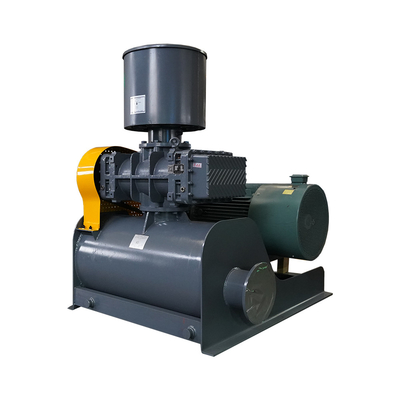 High Performance Roots Vacuum Pumps For Industrial Automation 0.52-183.9m³/min Flow range