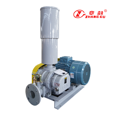 SSR Roots Vacuum Pump Roots Booster Vacuum Pump For Mission Critical Processes