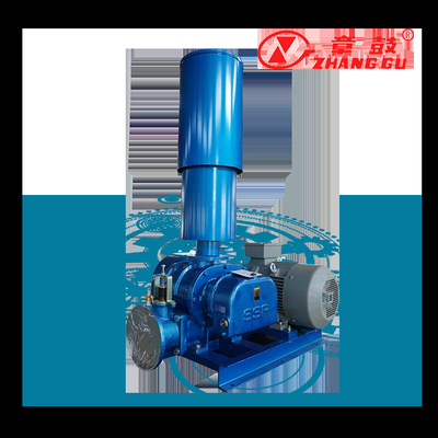SSR Roots Vacuum Pump Roots Booster Vacuum Pump For Mission Critical Processes