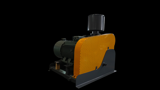 Hygienic Rotary Lobe Vacuum Pump for Sanitary Food and Beverage Applications