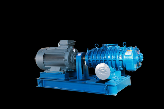 Advanced Roots Vacuum Pumps for High Vacuum Extraction in Industrial Settings