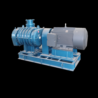 Advanced Roots Vacuum Pumps for High Vacuum Extraction in Industrial Settings