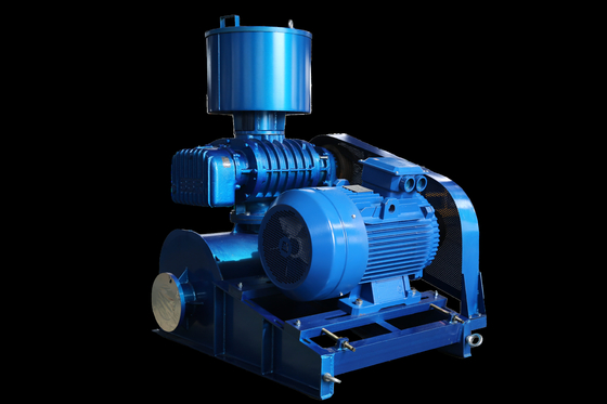 Expertly Engineered Roots Vacuum Pump Optimal Performance And Durability 4.4-69.5m³/Min
