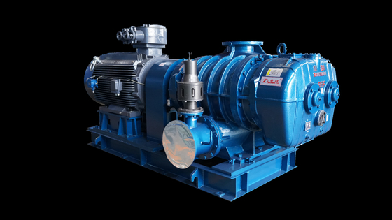 Cutting Edge Engineering Roots Vacuum Pump Single stage For Improving Efficiency