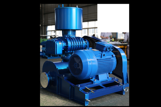 Customizable Roots Blower for Enhanced Productivity and Energy Savings in Manufacturing Operations