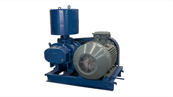 Heavy-Duty Roots Blower for High-Volume and Demanding Industrial Environments